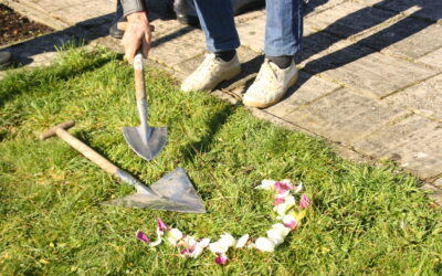 Asverstrooiing met ritueel: persoonlijk afscheid met symboliek en zorg